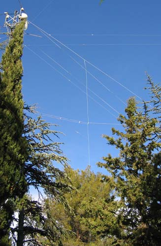 F5AD antenne Lévy verticale